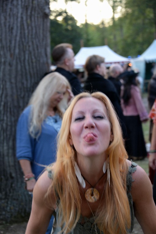 ../Images/Vrijdag Castlefest 2015 260.jpg